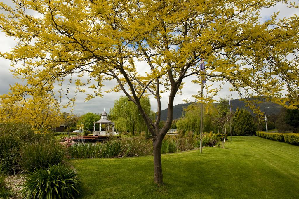 Lakeside Cottage Luxury B&B Mount Dandenong Exterior photo